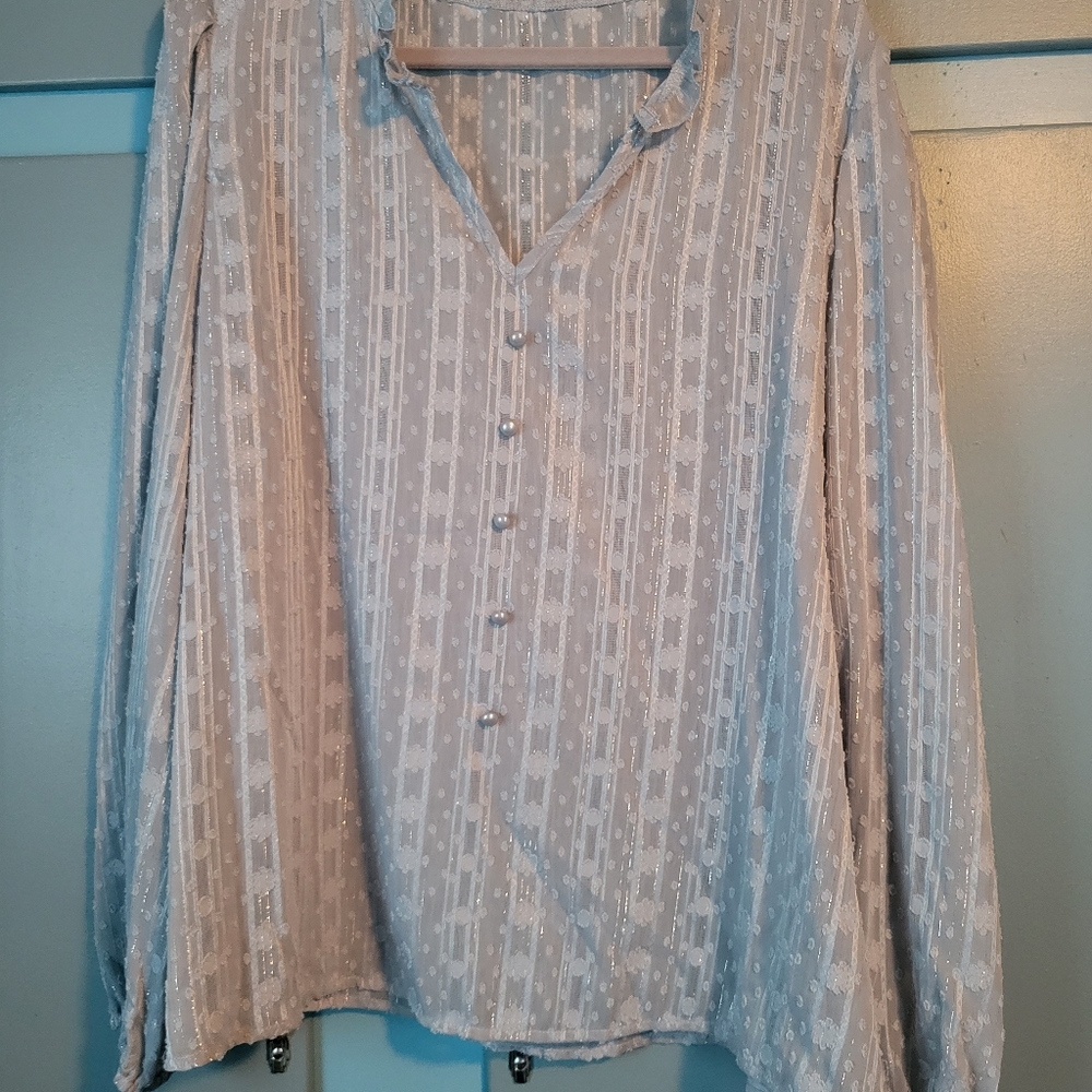 Long sleeve sheer